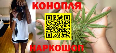 ешки Будённовск