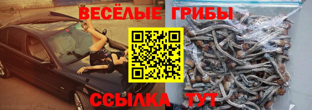 Галлюциногенные грибы Psilocybine cubensis  Вход с VPN  Майский 