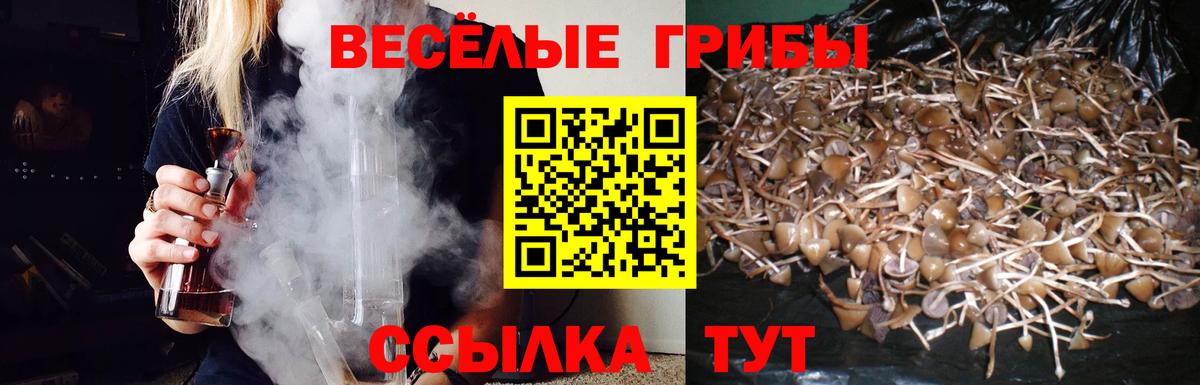 Галлюциногенные грибы GOLDEN TEACHER Майский